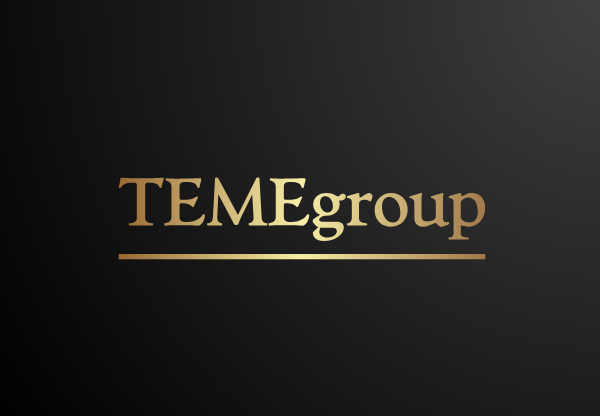 TEMEgroup Logo